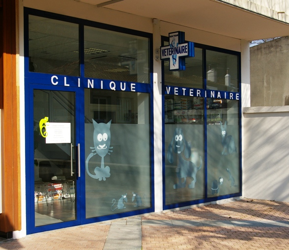 vitrine-magasin-metallique